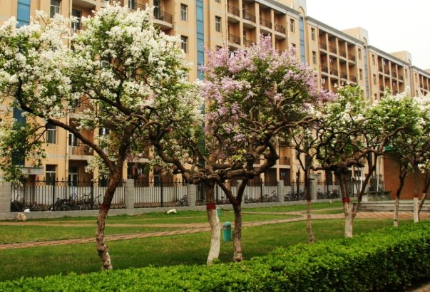 河北地质大学录取线2023