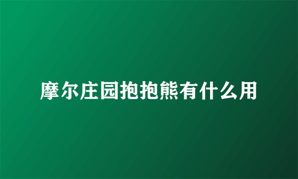 摩尔庄园抱抱熊有什么用