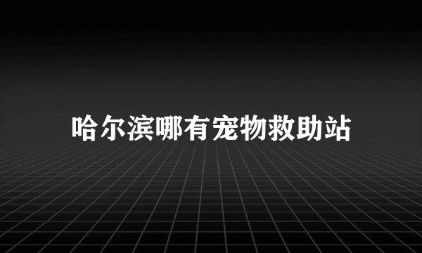 哈尔滨哪有宠物救助站