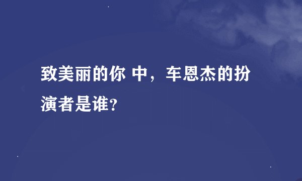 致美丽的你 中，车恩杰的扮演者是谁？