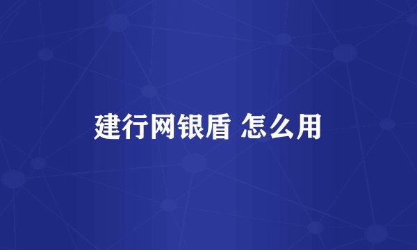 建行网银盾 怎么用