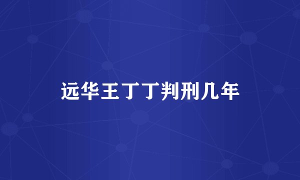 远华王丁丁判刑几年