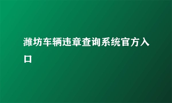 潍坊车辆违章查询系统官方入口