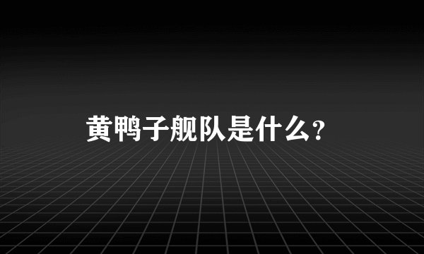 黄鸭子舰队是什么？