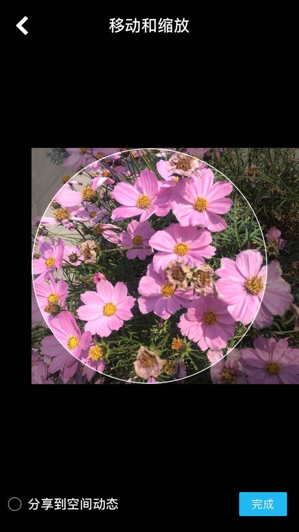 苹果手机qq怎么换头像？