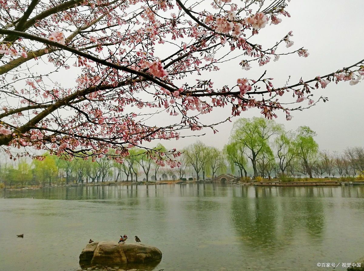 “西出阳关无故人”里，的“阳关”位于现在什么省？