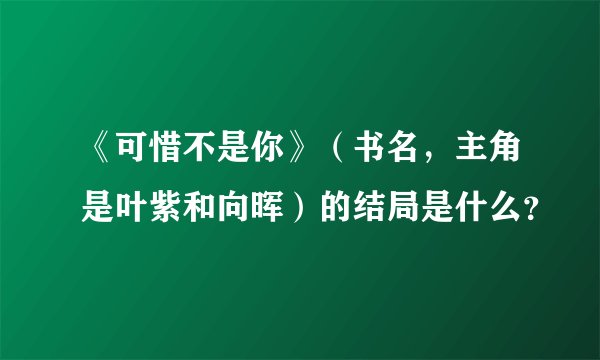 《可惜不是你》（书名，主角是叶紫和向晖）的结局是什么？