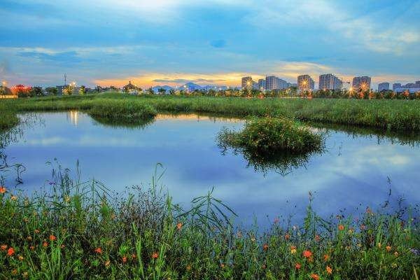 “芳树无人花自落，春山一路鸟空啼”是什么意思？