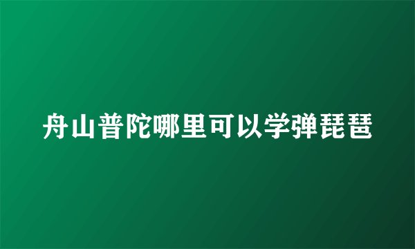舟山普陀哪里可以学弹琵琶