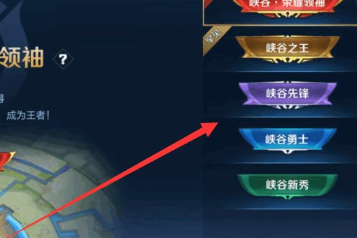 王者局内称号在哪里设置?