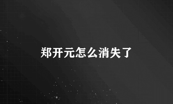 郑开元怎么消失了