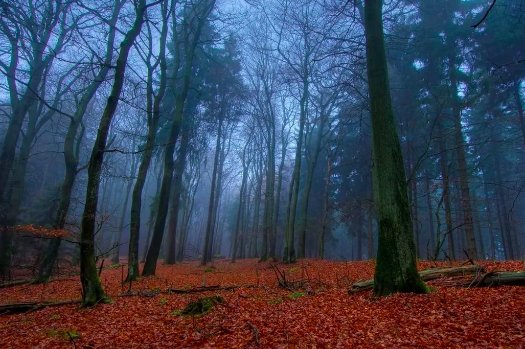 寂静和幽静的区别