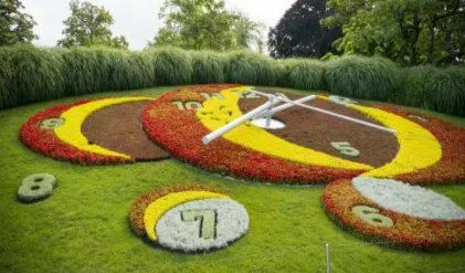 24小时分别开的什么花