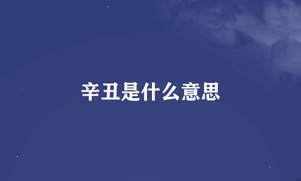 辛丑是什么意思