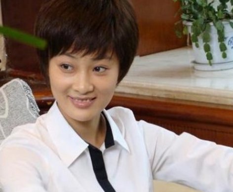 掌门女婿的剧情简介