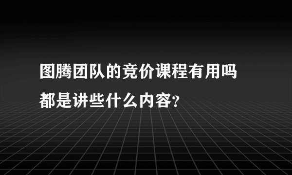 图腾团队的竞价课程有用吗 都是讲些什么内容？