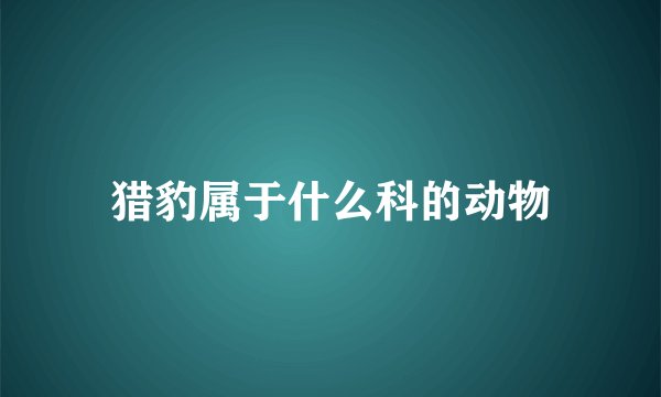 猎豹属于什么科的动物