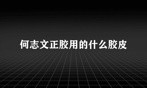 何志文正胶用的什么胶皮