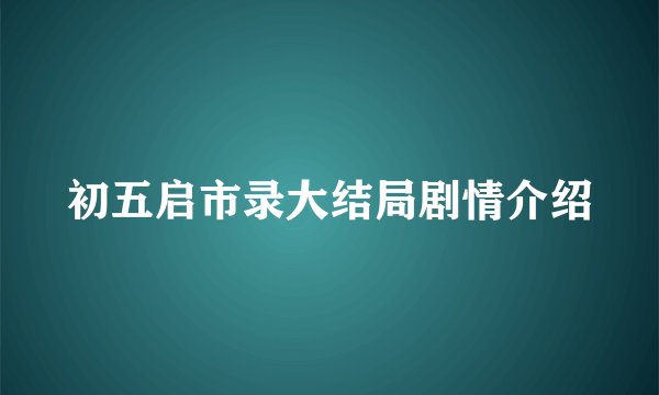 初五启市录大结局剧情介绍