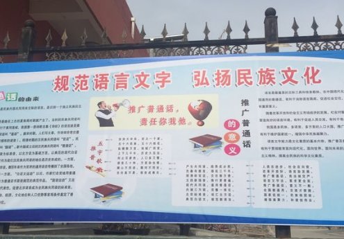 啄木鸟行动是什么行动？