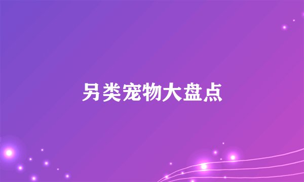 另类宠物大盘点