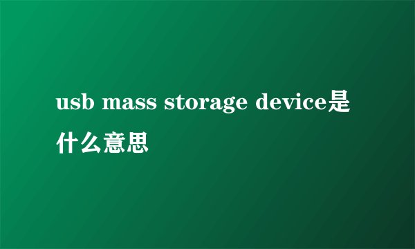 usb mass storage device是什么意思