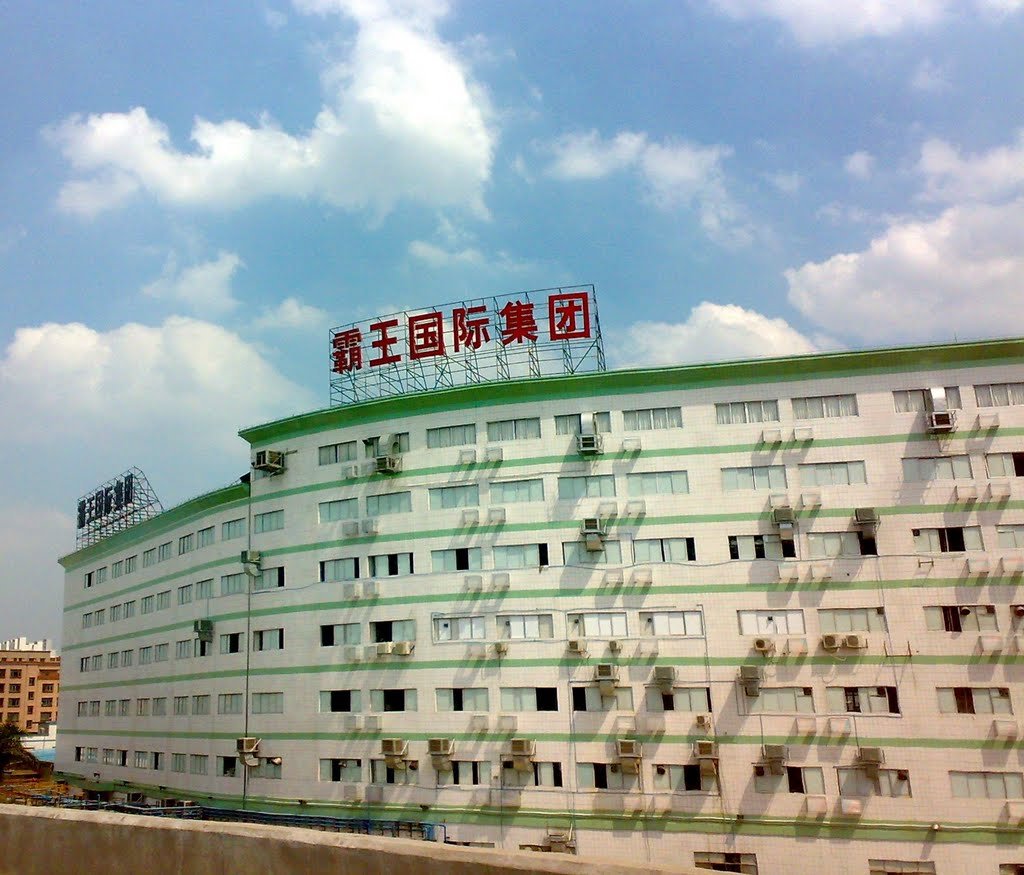 霸王集团的发展历程