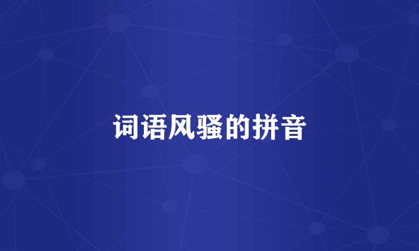 词语风骚的拼音
