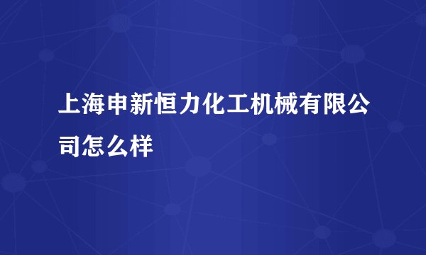 上海申新恒力化工机械有限公司怎么样