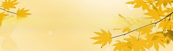 飘天文学网怎么打不开了(飘天文学网)