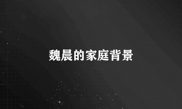 魏晨的家庭背景