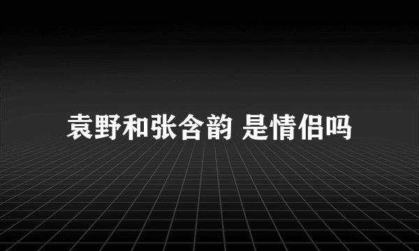 袁野和张含韵 是情侣吗