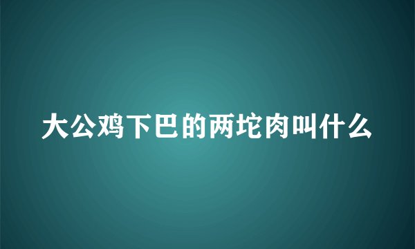 大公鸡下巴的两坨肉叫什么