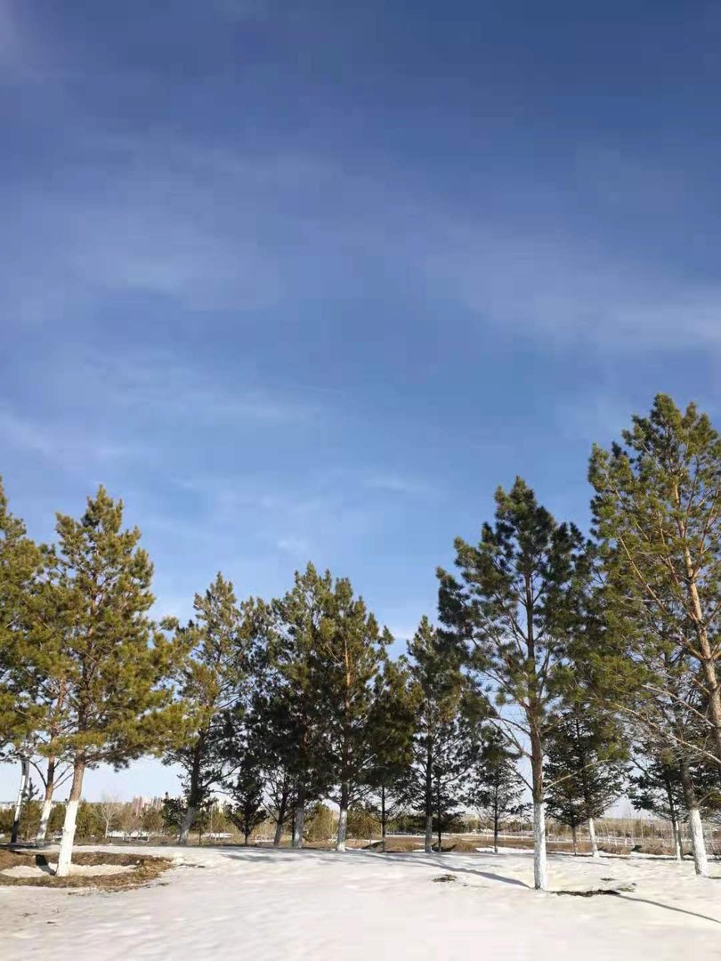 一生一世美人骨说的什么故事