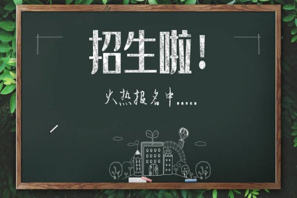 什么叫计划外招生