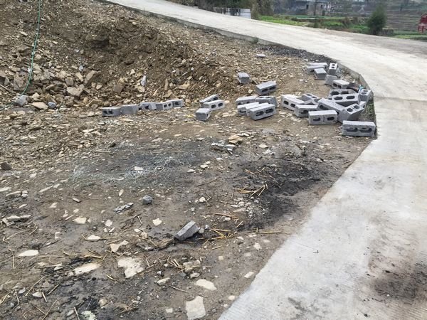 山村疯狂的内容简介