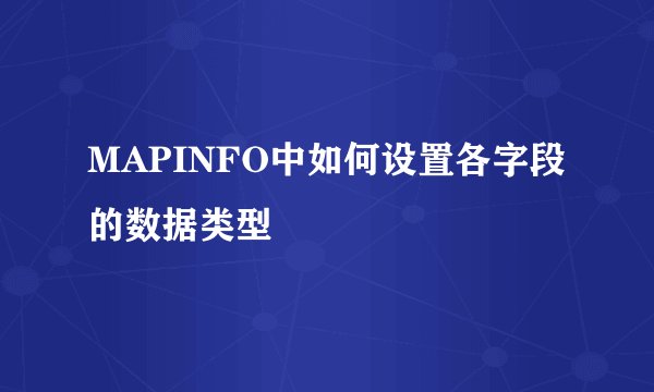 MAPINFO中如何设置各字段的数据类型