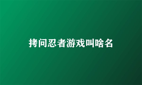 拷问忍者游戏叫啥名