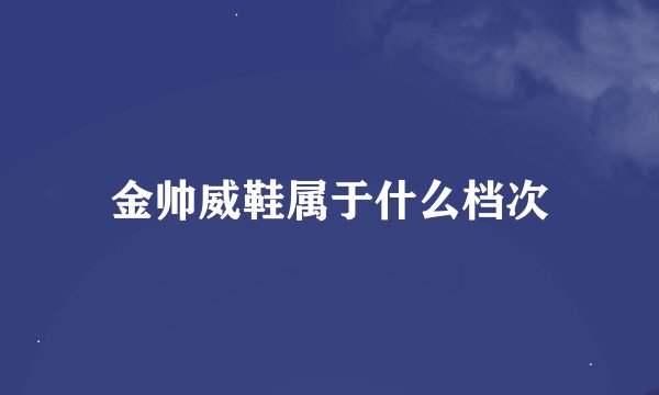 金帅威鞋属于什么档次