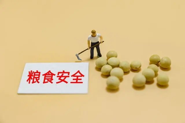 中国产粮第一大省端牢中国饭碗,粮食安全如何保障?