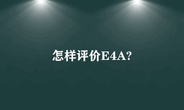 怎样评价E4A?