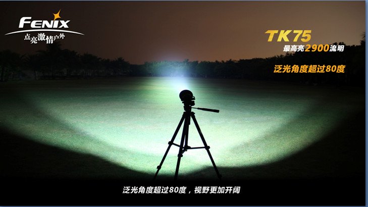 菲尼克斯之光的介绍