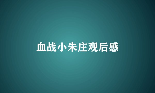 血战小朱庄观后感
