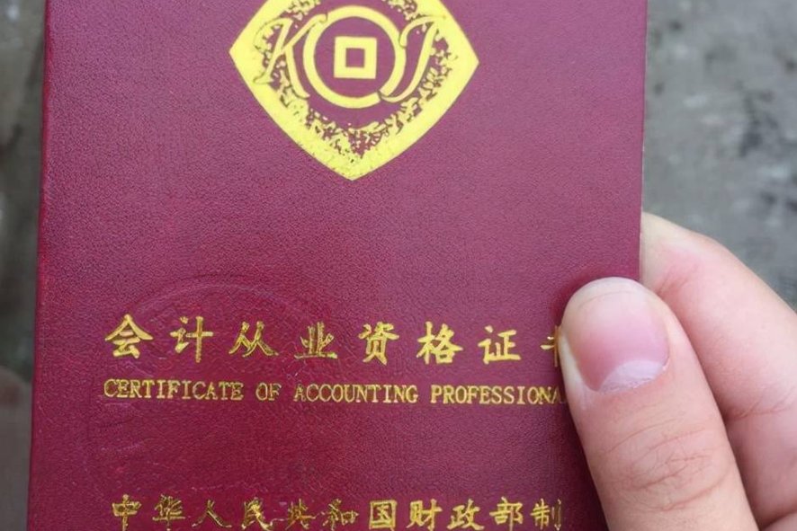 会计怎么查成绩