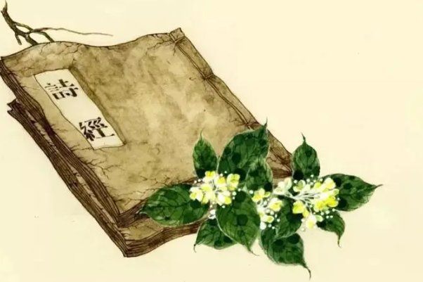 诗经彼阳真的假的