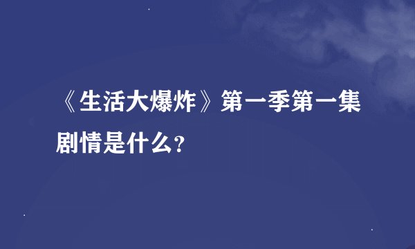 《生活大爆炸》第一季第一集剧情是什么？