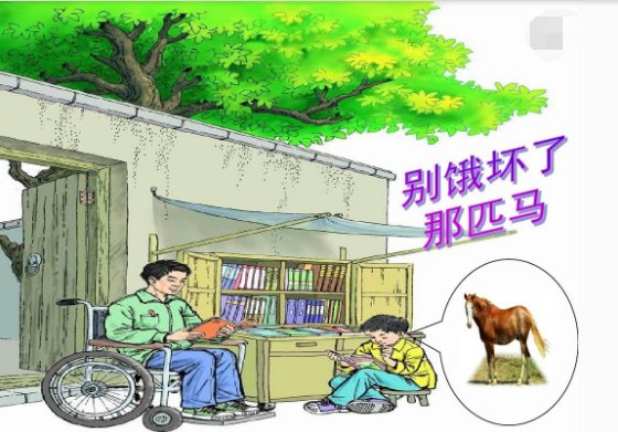 匹组词，用匹字怎么组词