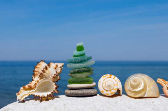 有谁知道BAL是什么意思？