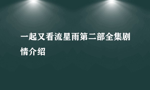一起又看流星雨第二部全集剧情介绍