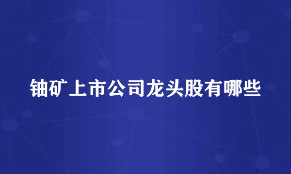 铀矿上市公司龙头股有哪些